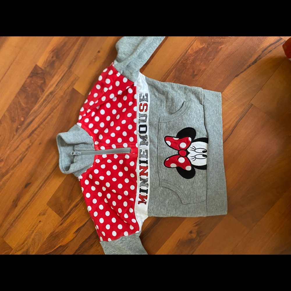 Disney theme park Minnie mouse sweater